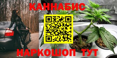 крисы Бугуруслан