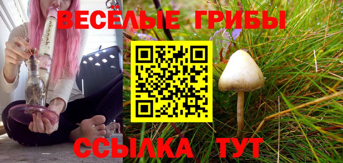Псилоцибиновые грибы мухоморы  где купить наркотик  Красноярск  Галлюциногенные грибы Cubensis  Вход с VPN 
